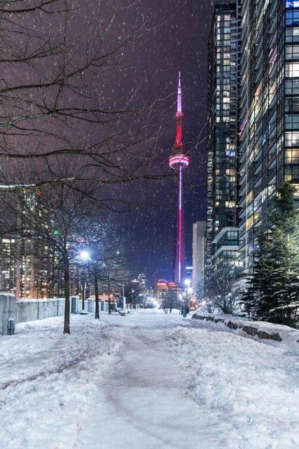 Large 2 Bedrooms Besides Cn Tower Toronto Extérieur photo